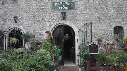 Profumo Di Fiori Di Petrilli, Fiorista a Sulmona