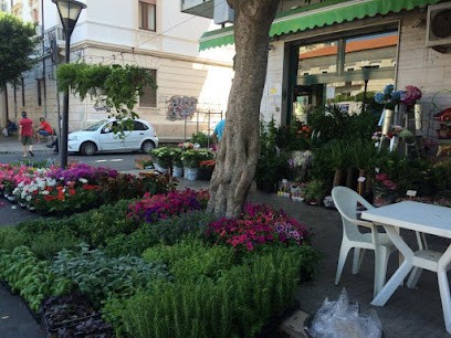 La Gardenia di Gullo Paolo, Fiorista a Crotone