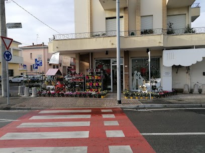 Il Fioraio Di Rivazzurra, Fiorista a Rimini
