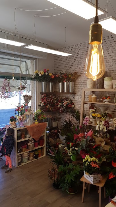 Eden Flora Due S.N.C. Di Benatti Maria Luisa E Giavelli Maria Grazia, Fiorista a Cavriago