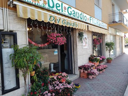 Del Gaudio Fiori, Fiorista a Pescara
