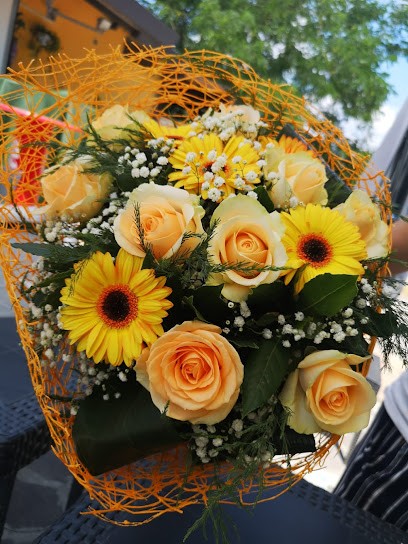 Fior Fiore Di Barbini Mara E C. S.n.c., Fiorista a Orbetello