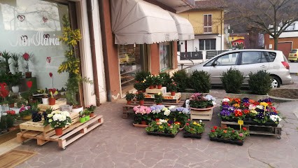 Fiorilaria Di Toniolo Ilaria, Fiorista a Zovencedo