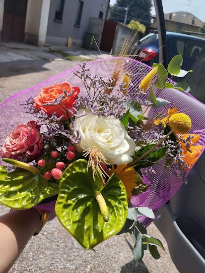 Il giardino delle idee di Erika, Fiorista a Bregnano