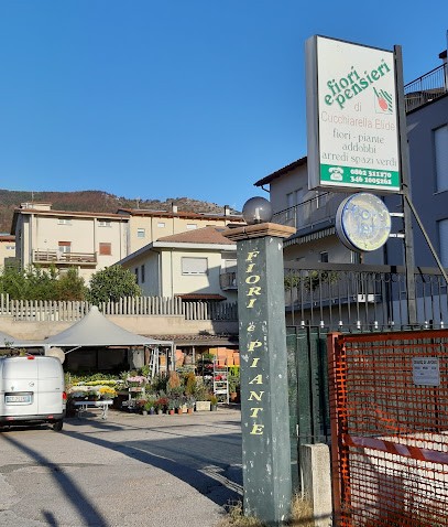 Fiori E Pensieri, Fiorista a L'Aquila