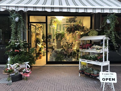 Regina Di Fiori, Fiorista a Cesenatico