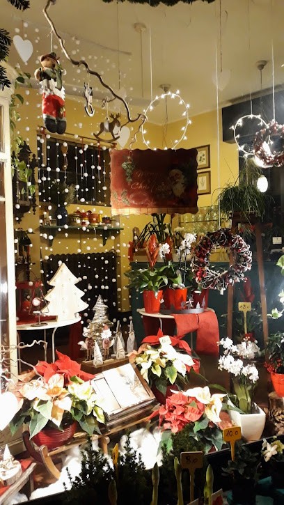 Scotti Floricoltura Di Vittorio Scotti, Fiorista a Meina