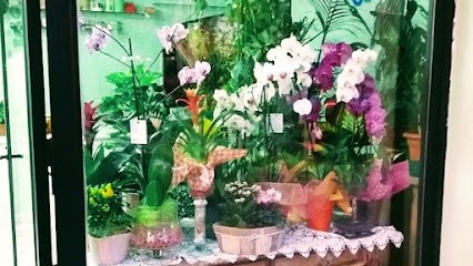 LEONCUR Piante E Fiori, Fiorista a San Severo
