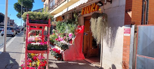 Piante E Fiori, Fiorista a Marino