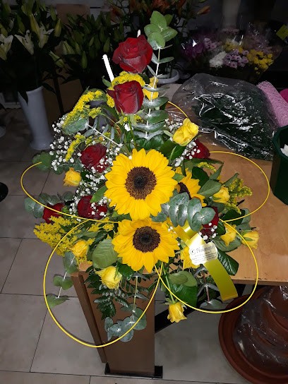 Phalaenopsis Di Vincenzo Lo Brutto, Fiorista a Ribera