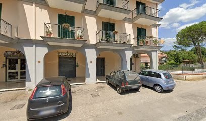 Amaryllis, Fiorista a Carbonara di Nola