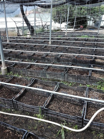 Effegi Fiori S.S. Azienda Agricola Di Garibaldi Mario & Paolo, Fiorista a Riva Ligure