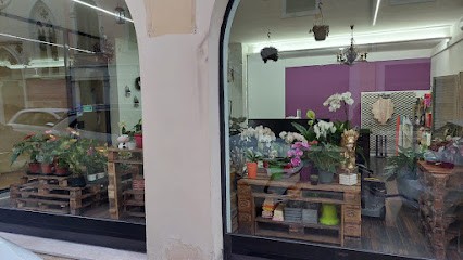 Fioreria Iose Di Collareda Eleonora, Fiorista a Arzignano