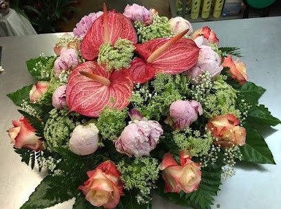 Il Petalo Fiori e Piante, Fiorista a Arezzo