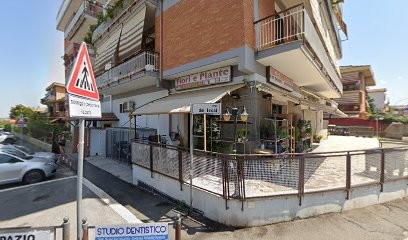 Fiori E Piante, Fiorista a Marino