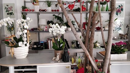 Florist Carnazzola Antonella, Fiorista a Sondrio