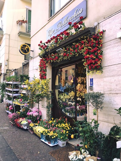 Ugo Pellecchia Di Annamaria Pellecchia - Fiori E Piante, Fiorista a Salerno