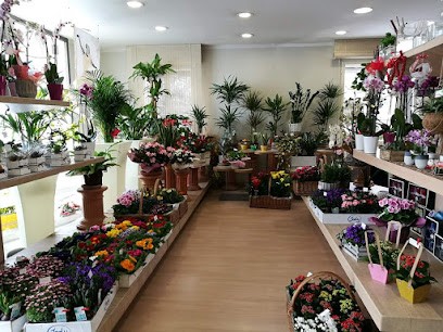 Il Fiore Di Lama Manuela, Fiorista a Castellarano