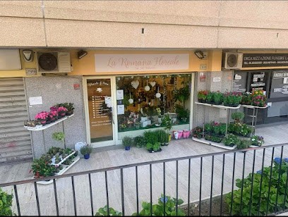 La Romana Floreale, Fiorista a Roma