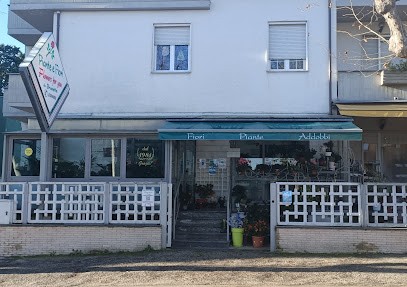 Fiori Piante Addobbbi Flowers For You Da Brunetta, Fiorista a Giulianova