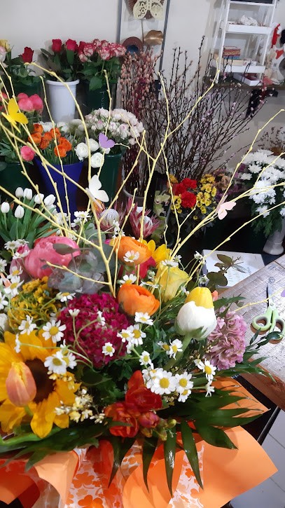 Piante E Fiori Torresi Di Perticari Annamaria, Fiorista a Fermo