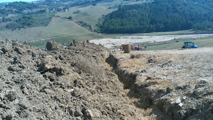 Euro Flora 90, Fiorista a San Bartolomeo in Galdo