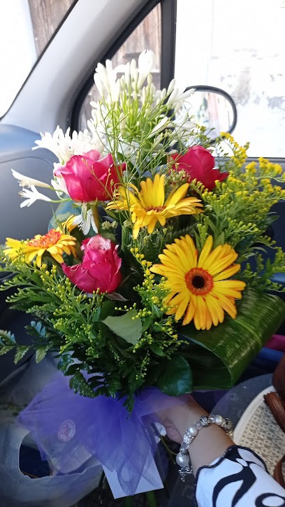 Momenti Di Bianchi Triestina, Fiorista a Pratola Peligna