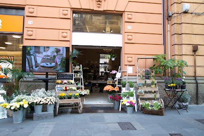 Il Giardino Di Bice, Fiorista a Genova