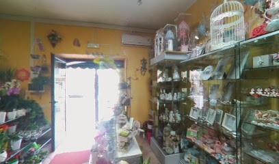 Il Giardino Del Fiore Di La Mura Concetta Alatri, Fiorista a Alatri