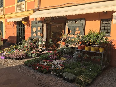 Bruna Arte e Fiori, Fiorista a Laigueglia