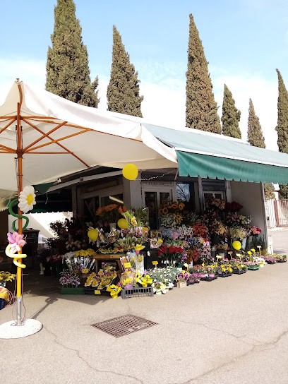 Fiori Menin Giovanni Cristina, Fiorista a Verona