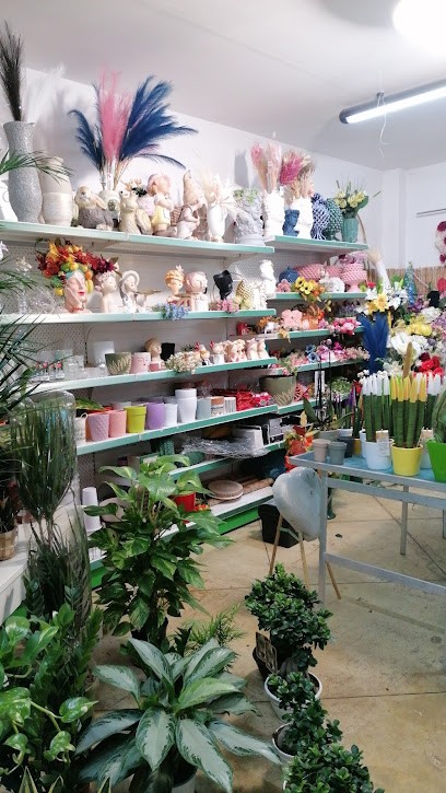 Linea Verde Di Ippolito Vincenzo, Fiorista a Pietraperzia