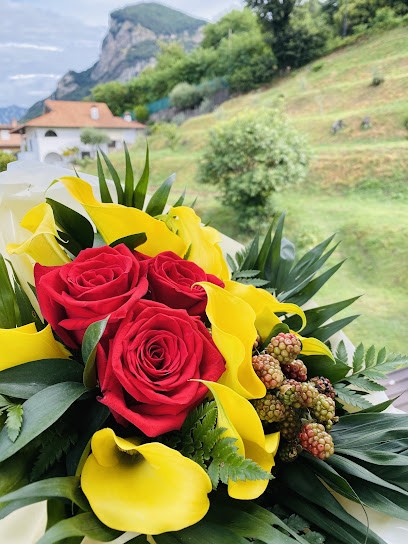 Fiorista - Fioreria MaDa - Valsecchi Ubaldo S.n.c. Di Valsecchi Sergio, Fiorista a Cisano Bergamasco