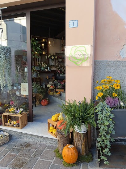 Biancospino, Fiorista a Volta Mantovana