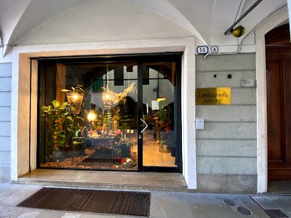 Lamelacannella Snc Di Delfino & C. - Botanic Shop, Fiorista a Padova