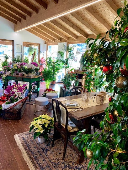 Centro Giardino Di Fiorina Rosanna, Fiorista a Lovero