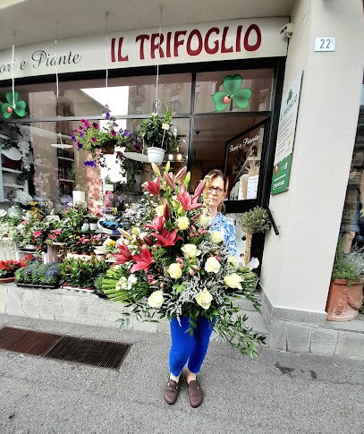 Il Trifoglio, Fiorista a Sagliano Micca