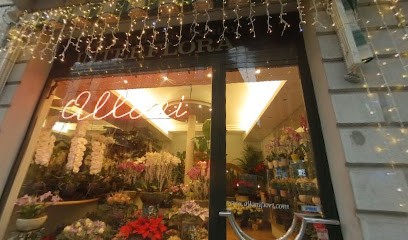 Alloni Fiori Di Favari Paolo Piacenza, Fiorista a Piacenza