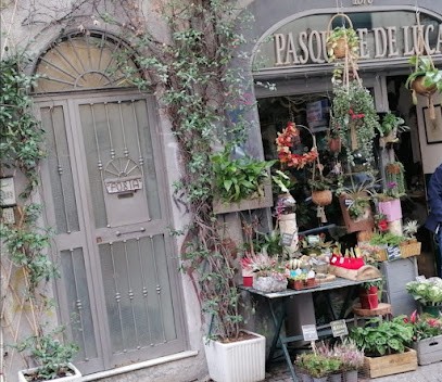 Fiori Di De Luca Dr. Pasquale, Fiorista a Napoli