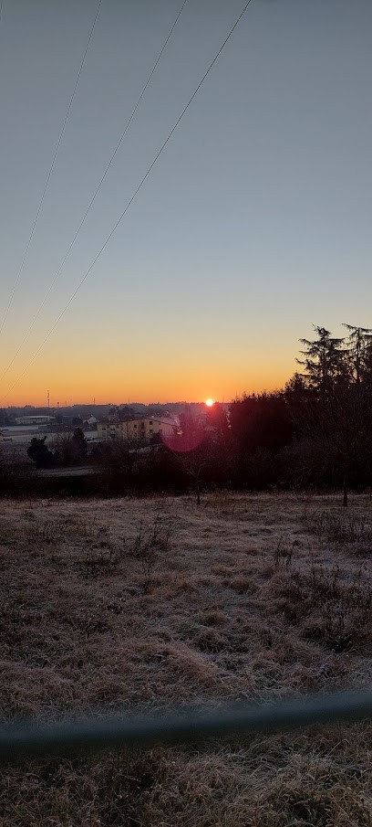 Florovivaista Vimercati Renato, Fiorista a Vimercate