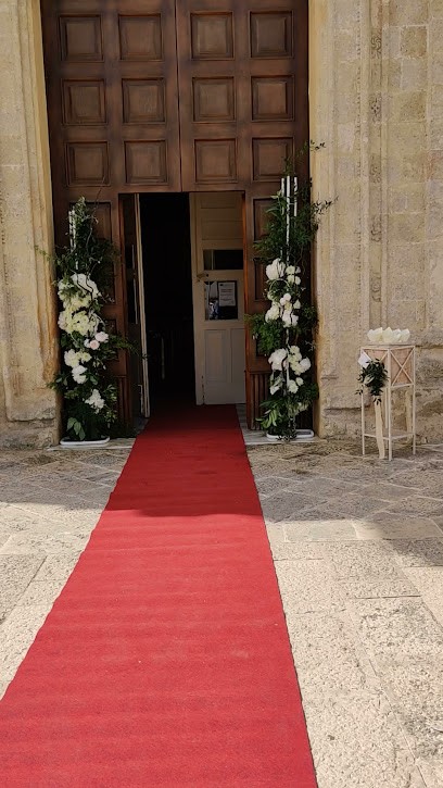 Marina Capolli Design De Flores, Fiorista a Manduria