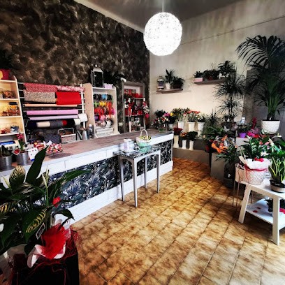 Centro Fiori, Fiorista a Salsomaggiore Terme