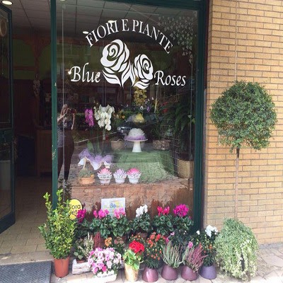 Fiori Blue Roses, Fiorista a Orvieto