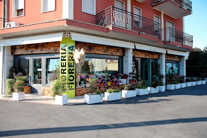 I Fiori Di Gilda - Officina Creativa, Fiorista a Scorzè