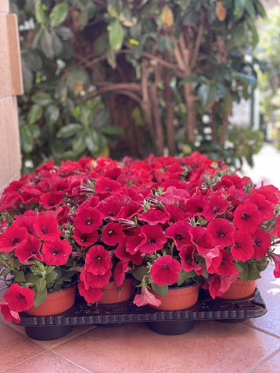 GARDEN FIERA DEL VERDE, Fiorista a Pulsano