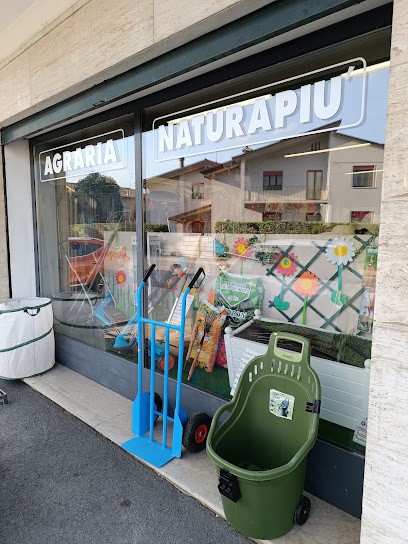 Naturapiu', Fiorista a Nove