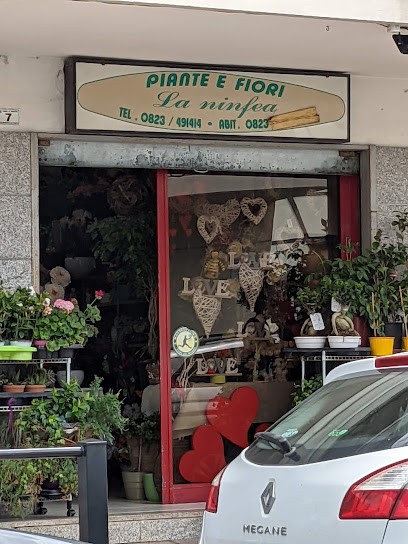 La Ninfea Di Trotta Filomena, Fiorista a Casagiove