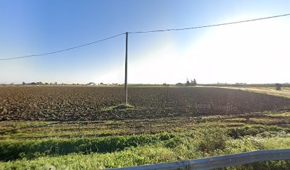 Pompignoli Mauro, Fiorista a Solarolo