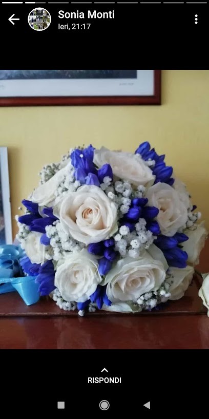 Fiorista Oasi 2, Fiorista a Borgomanero