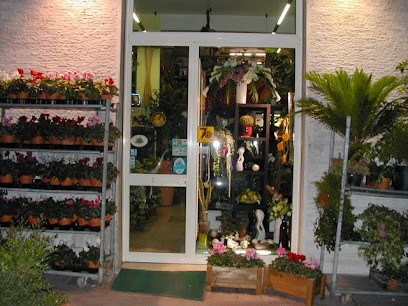 Masciandaro - Piante E Fiori Online, Fiorista a Matera